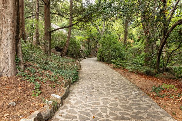 Stone Walkway Repair in Eagle