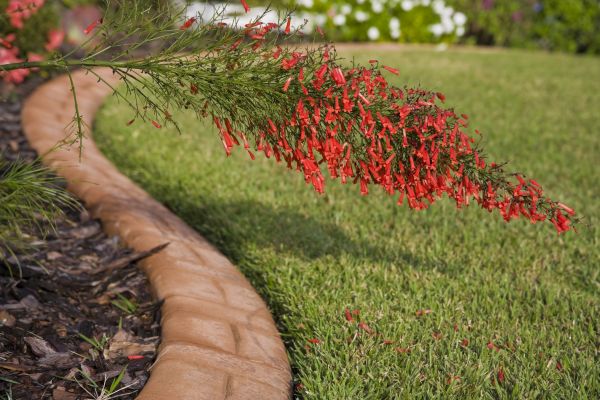 Brick Edging in Eagle
