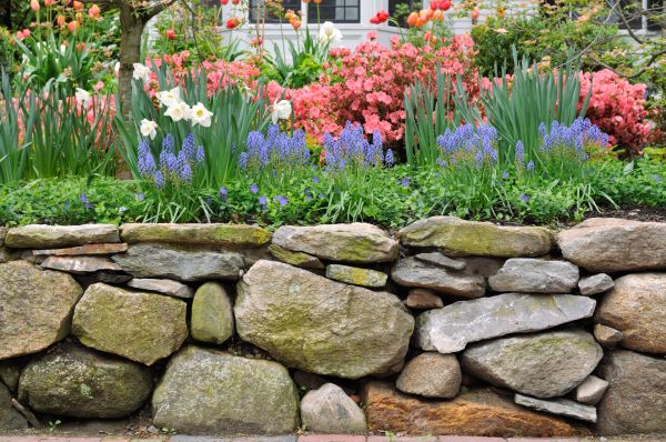 Stone Wall Hardscaping in Eagle