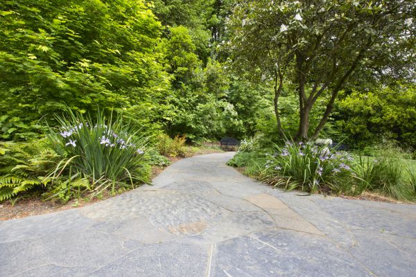 Stone Hardscape Service in Eagle