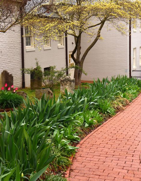 Brick Flatwork Repair in Eagle